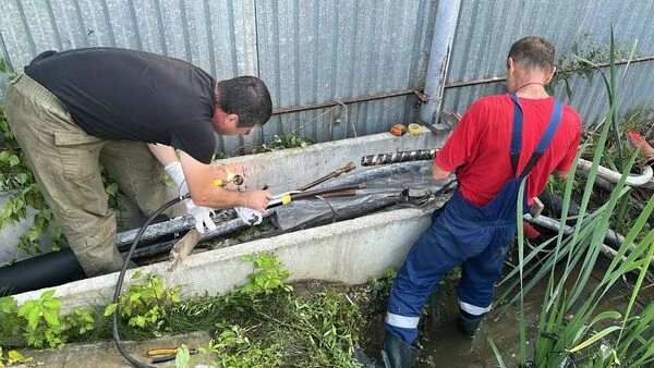 Пример выполненной работы